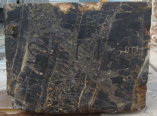 Classic Coral Saw Cut