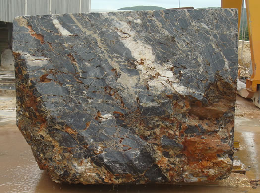 Classic Coral Saw Cut