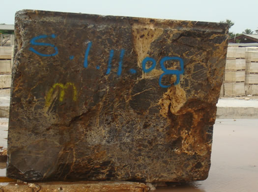 Colonial Coral Saw Cut