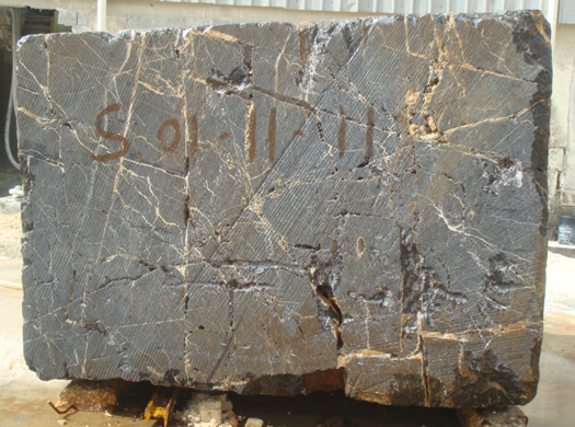 Classic Coral Filled Brushed