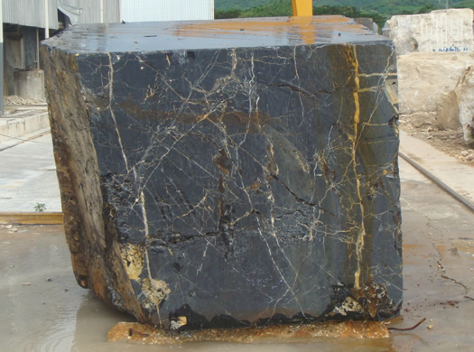 Classic Coral Saw Cut