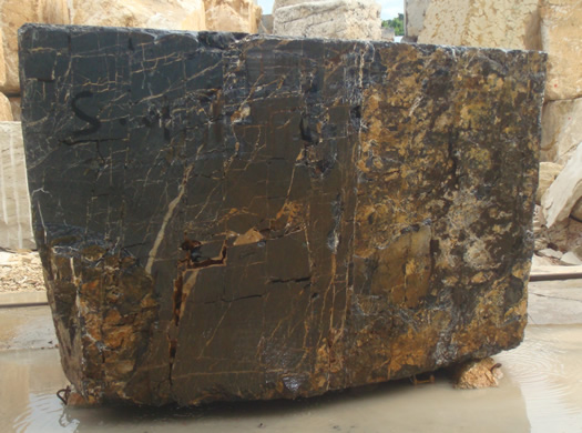 Colonial Coral Saw Cut