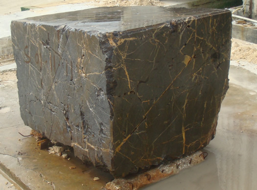 Golden Coral Saw Cut