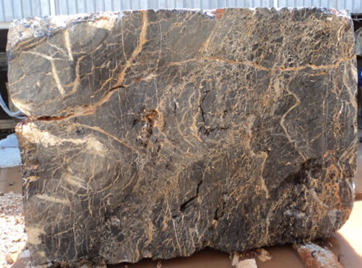 Classic Coral Filled Brushed