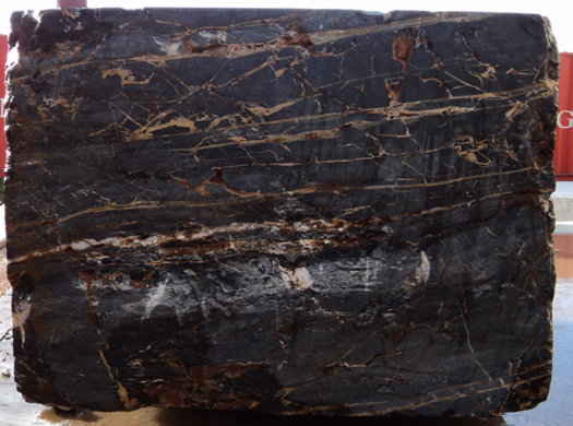 Colonial Coral Saw Cut