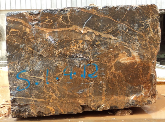 Classic Coral Filled Brushed