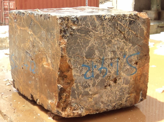 Golden Coral Saw Cut