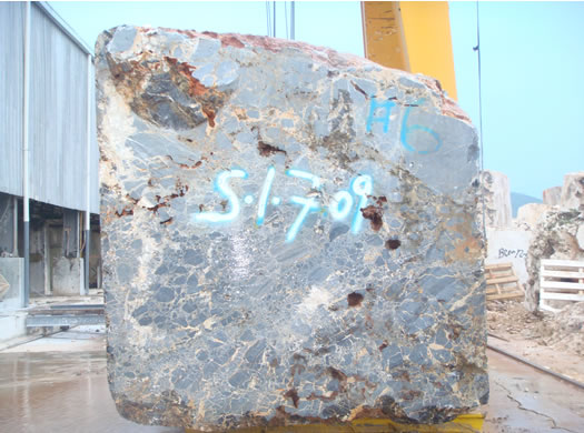 Classic Coral Saw Cut