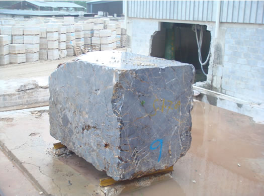 Golden Coral Saw Cut