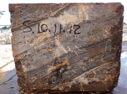 Colonial Coral Saw Cut