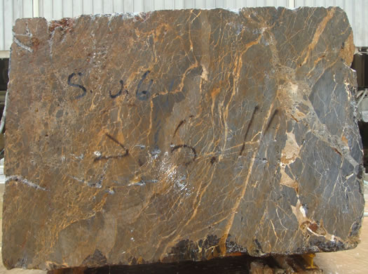 Classic Coral Filled Brushed