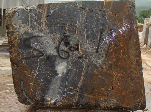 Classic Coral Saw Cut