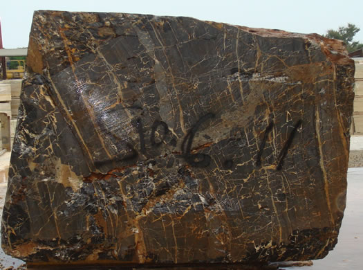 Colonial Coral Saw Cut