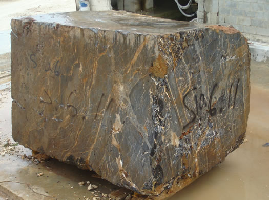 Golden Coral Saw Cut