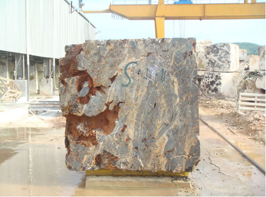 Classic Coral Saw Cut