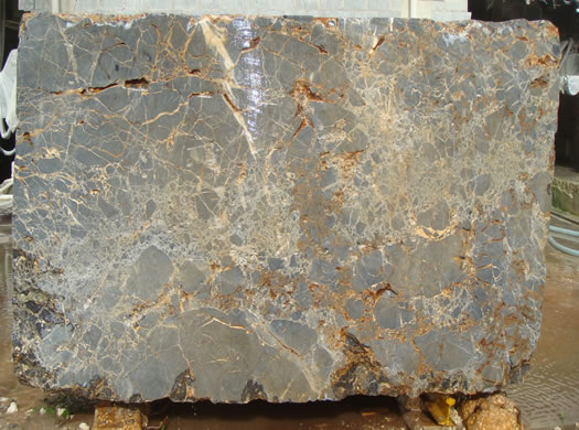 Classic Coral Filled Brushed