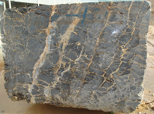 Classic Coral Saw Cut