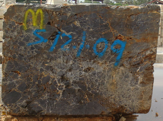 Colonial Coral Saw Cut