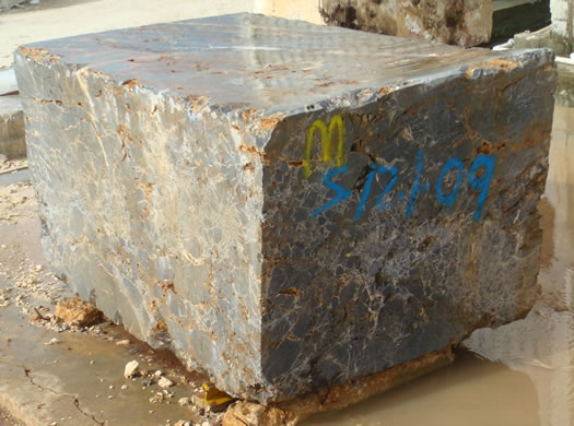 Golden Coral Saw Cut