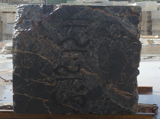 Classic Coral Saw Cut