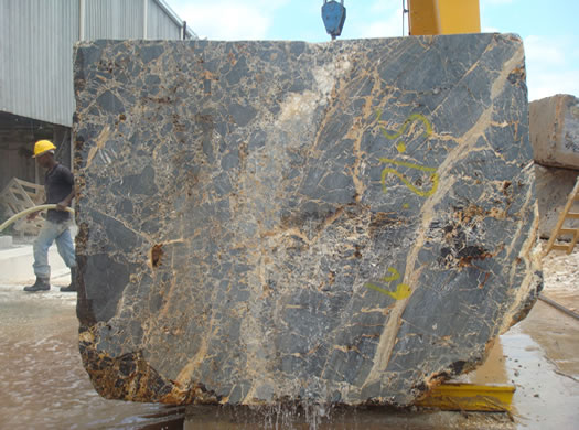 Classic Coral Saw Cut