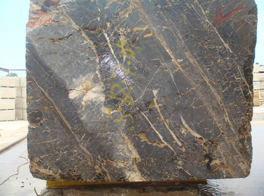 Golden Coral Saw Cut