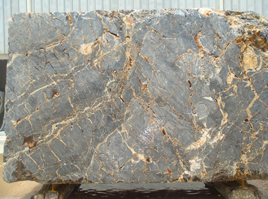 Classic Coral Saw Cut