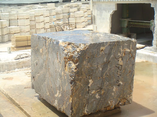 Golden Coral Saw Cut