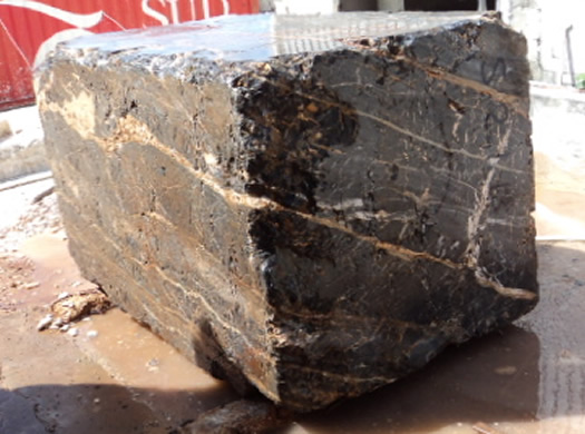 Golden Coral Saw Cut