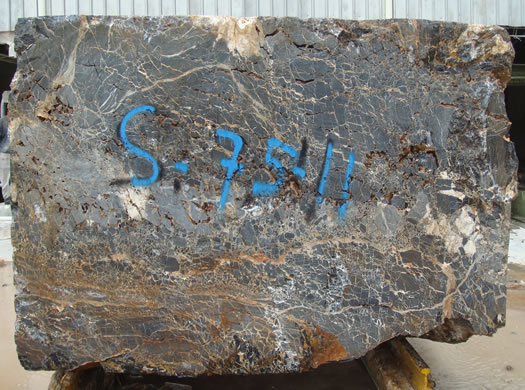 Classic Coral Filled Brushed