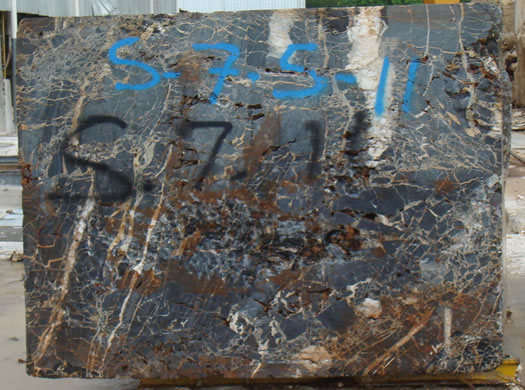 Classic Coral Saw Cut