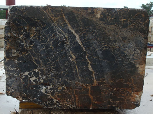 Colonial Coral Saw Cut