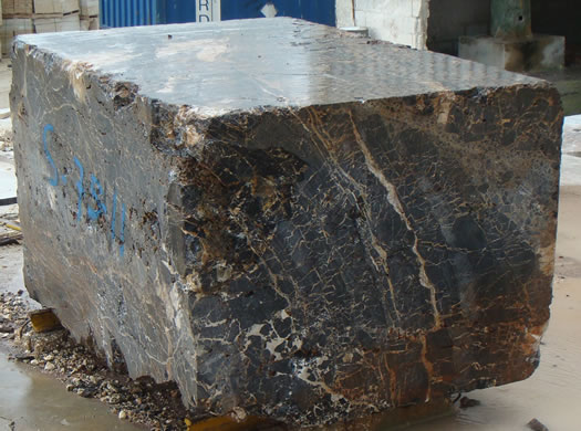 Golden Coral Saw Cut