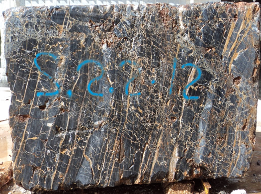 Classic Coral Filled Brushed