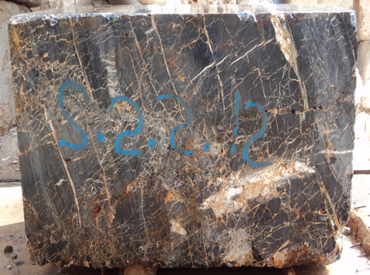 Classic Coral Saw Cut