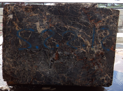 Colonial Coral Saw Cut