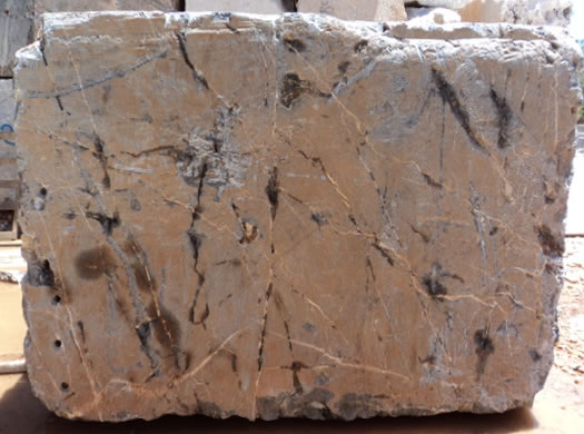 Classic Coral Saw Cut