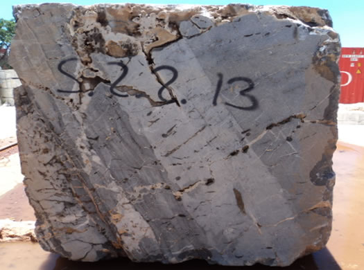 Colonial Coral Saw Cut