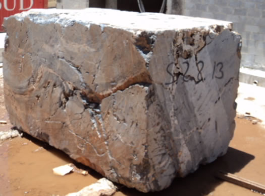 Golden Coral Saw Cut