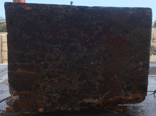 Classic Coral Filled Brushed