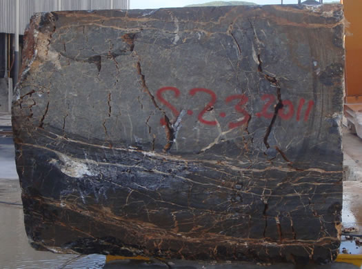 Classic Coral Saw Cut