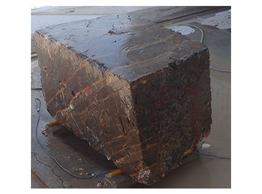 Golden Coral Saw Cut