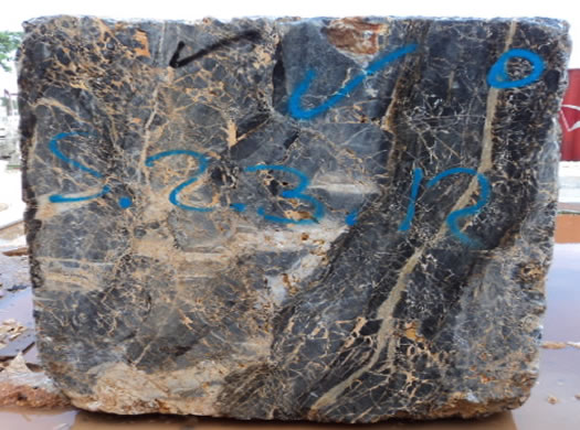 Colonial Coral Saw Cut