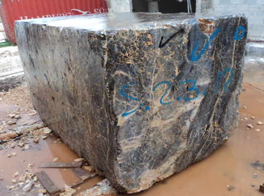 Golden Coral Saw Cut