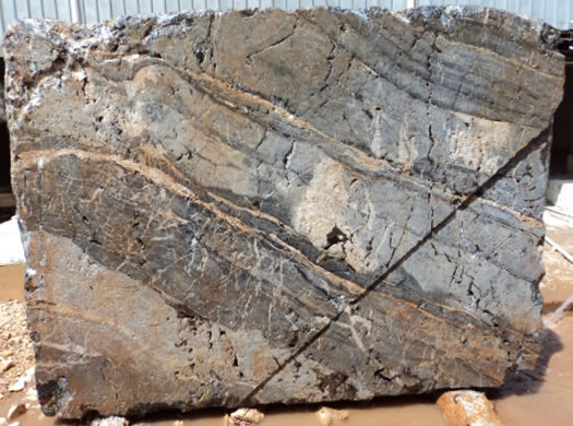 Classic Coral Filled Brushed