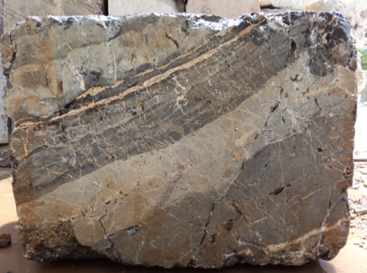 Classic Coral Saw Cut