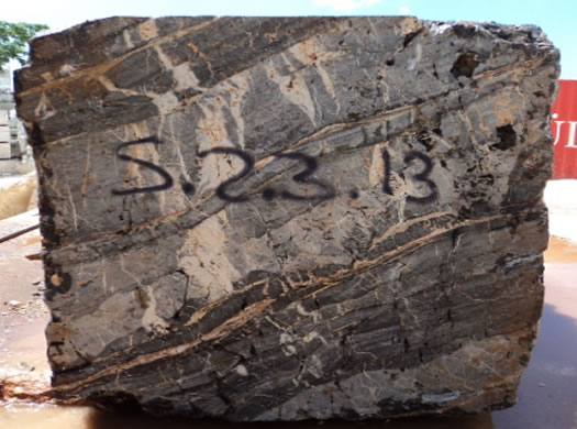 Colonial Coral Saw Cut