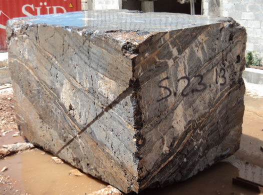 Golden Coral Saw Cut