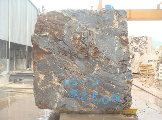 Classic Coral Saw Cut