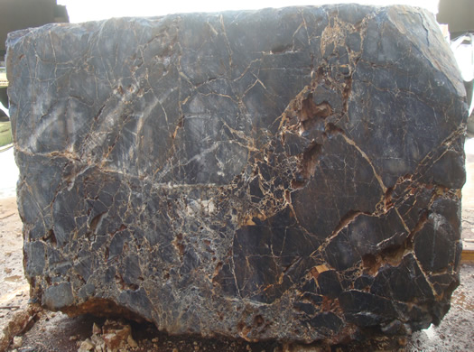 Classic Coral Filled Brushed